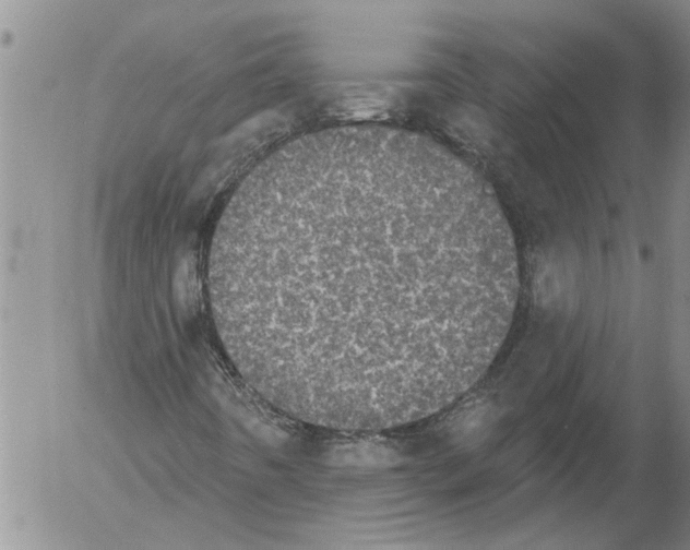 X0000054581442200508300048.png