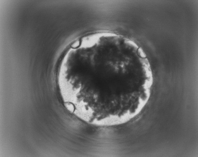 X0000053460343200508112203.png