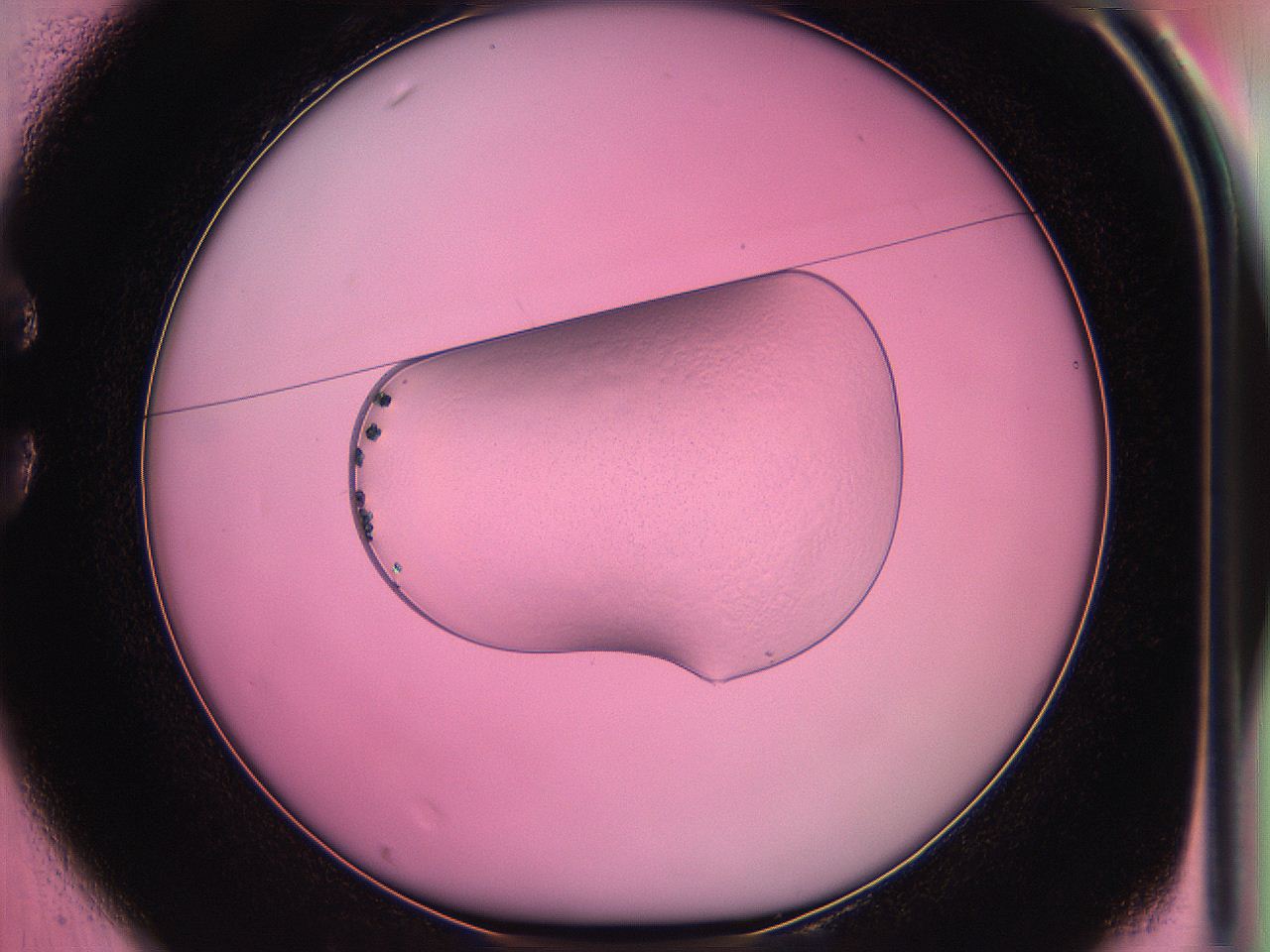 05du_C1_ImagerDefaults_4.jpg