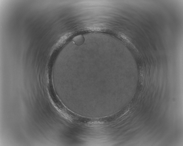 X0000054350734200508190127.png
