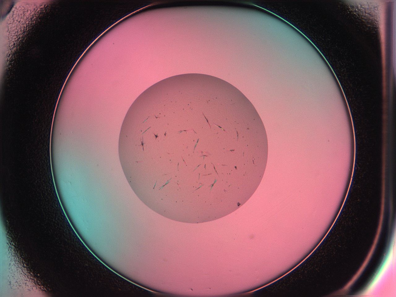 05du_C8_ImagerDefaults_7.jpg