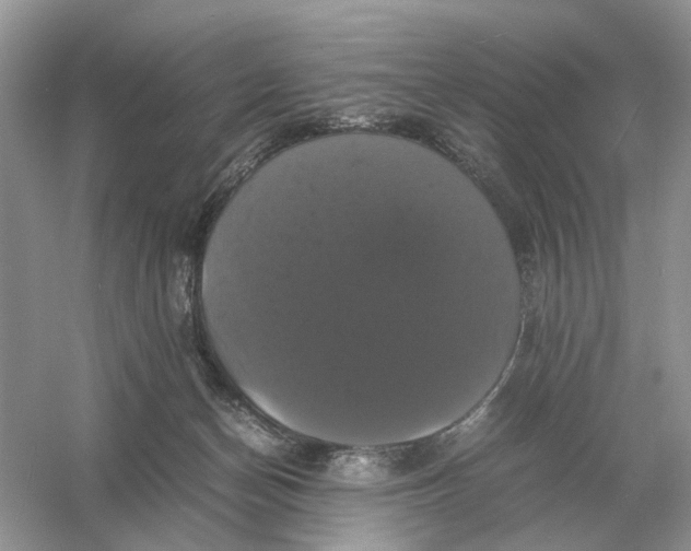 X0000054350174200508190137.png