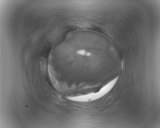 X0000054351251200508190119.png