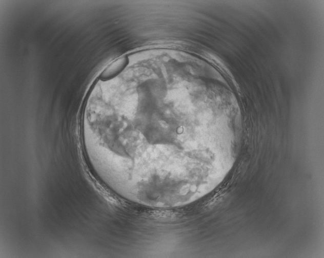 X0000055250907200509071612.png