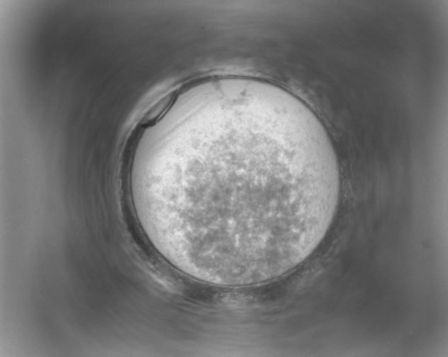 X0000054270199200508261925.png