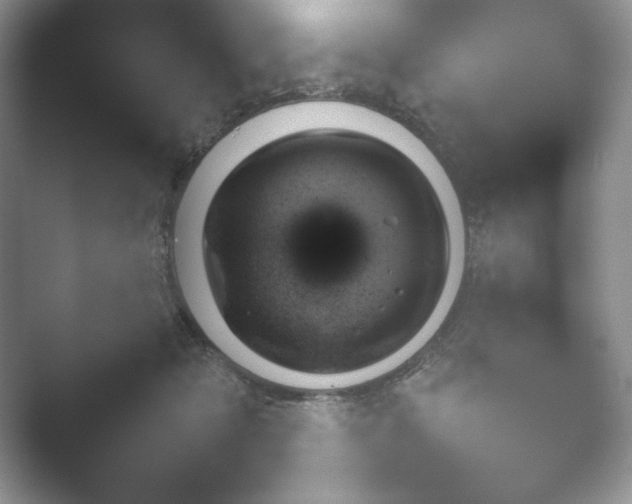 X0000052450317200507211321.png