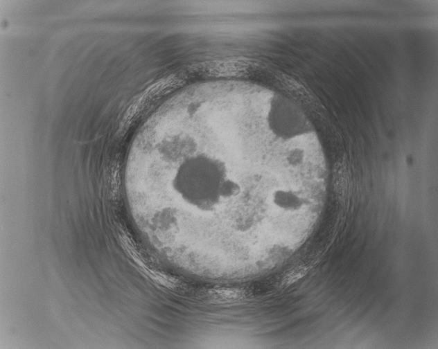 X0000054580741200508300100.png