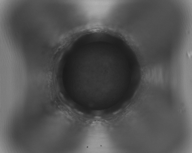 X0000054731445200508171839.png