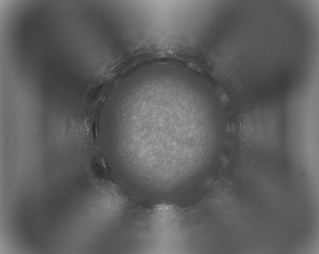 X0000052150218200507052000.png