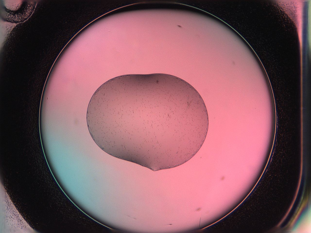 05du_F10_ImagerDefaults_6.jpg