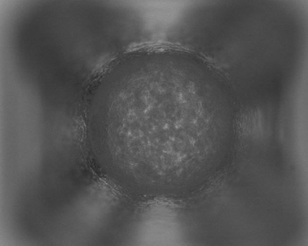 X0000051541446200506281726.png