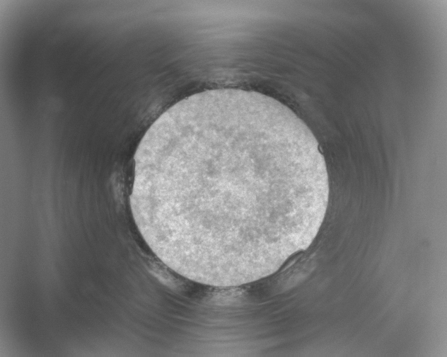 X0000054270576200508261919.png