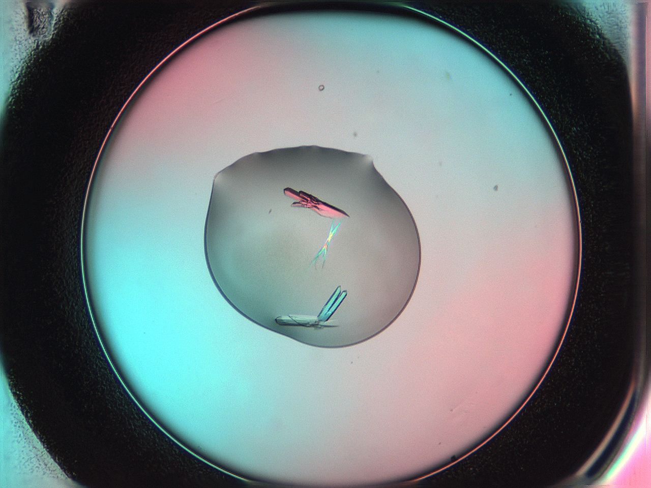 05du_E11_ImagerDefaults_9.jpg