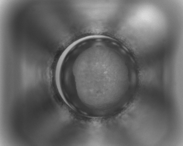 X0000041310358200411042056.png