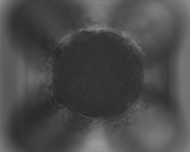 X0000047471350200503091548.png