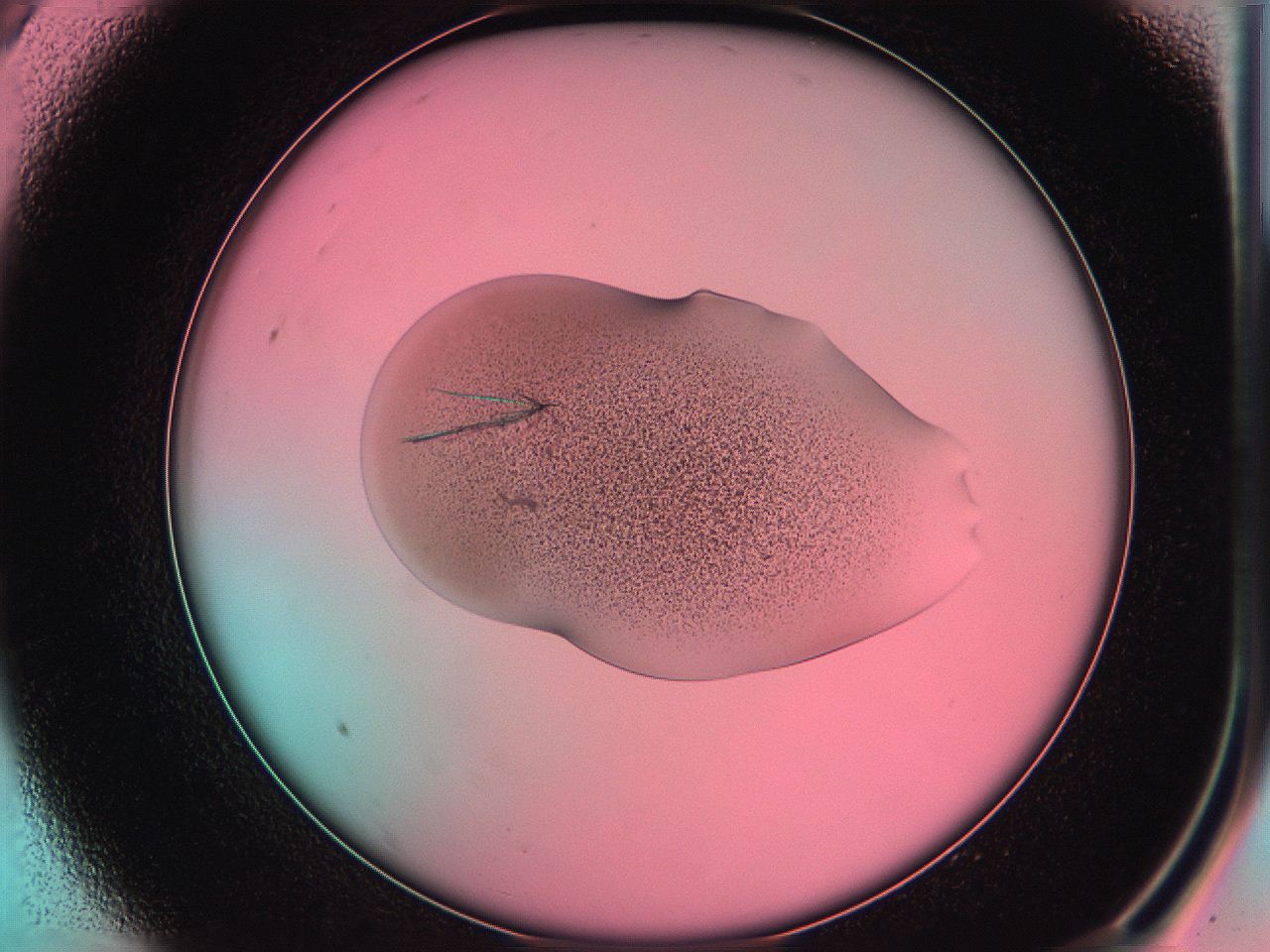 05du_A9_ImagerDefaults_7.jpg
