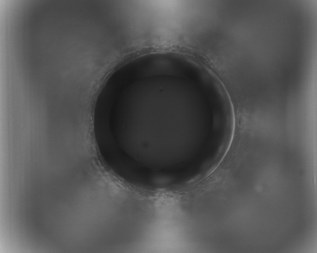 X0000054731153200508171844.png