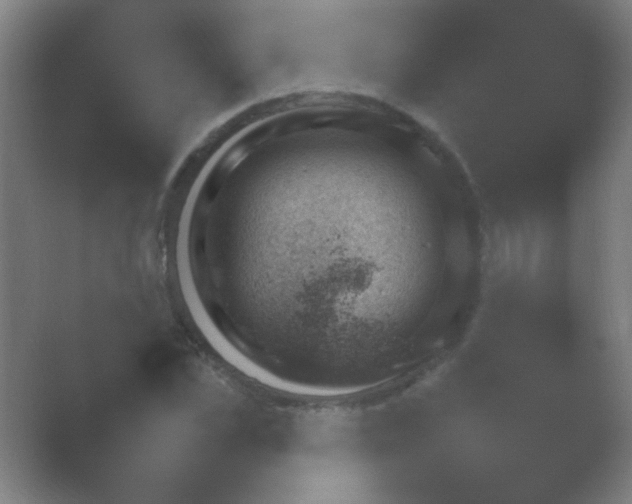 X0000054110973200508022055.png