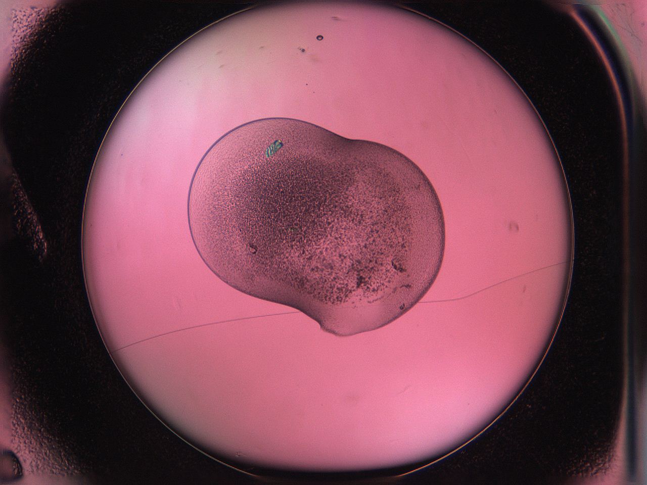 05du_A6_ImagerDefaults_4.jpg