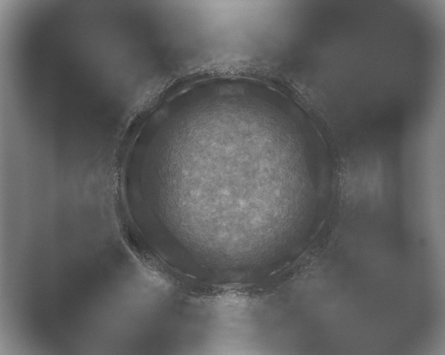 X0000052150586200507051953.png