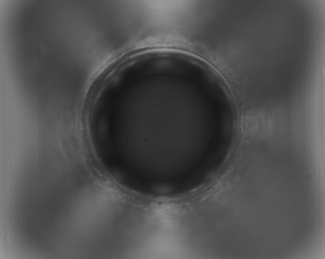 X0000054730340200508171857.png