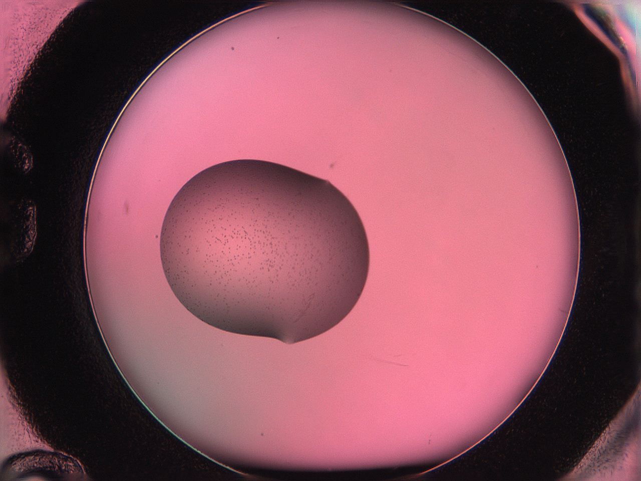 05du_G12_ImagerDefaults_4.jpg