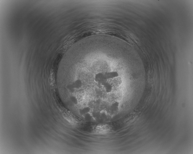 X0000055060173200508161655.png