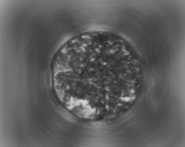 X0000053461219200508112148.png