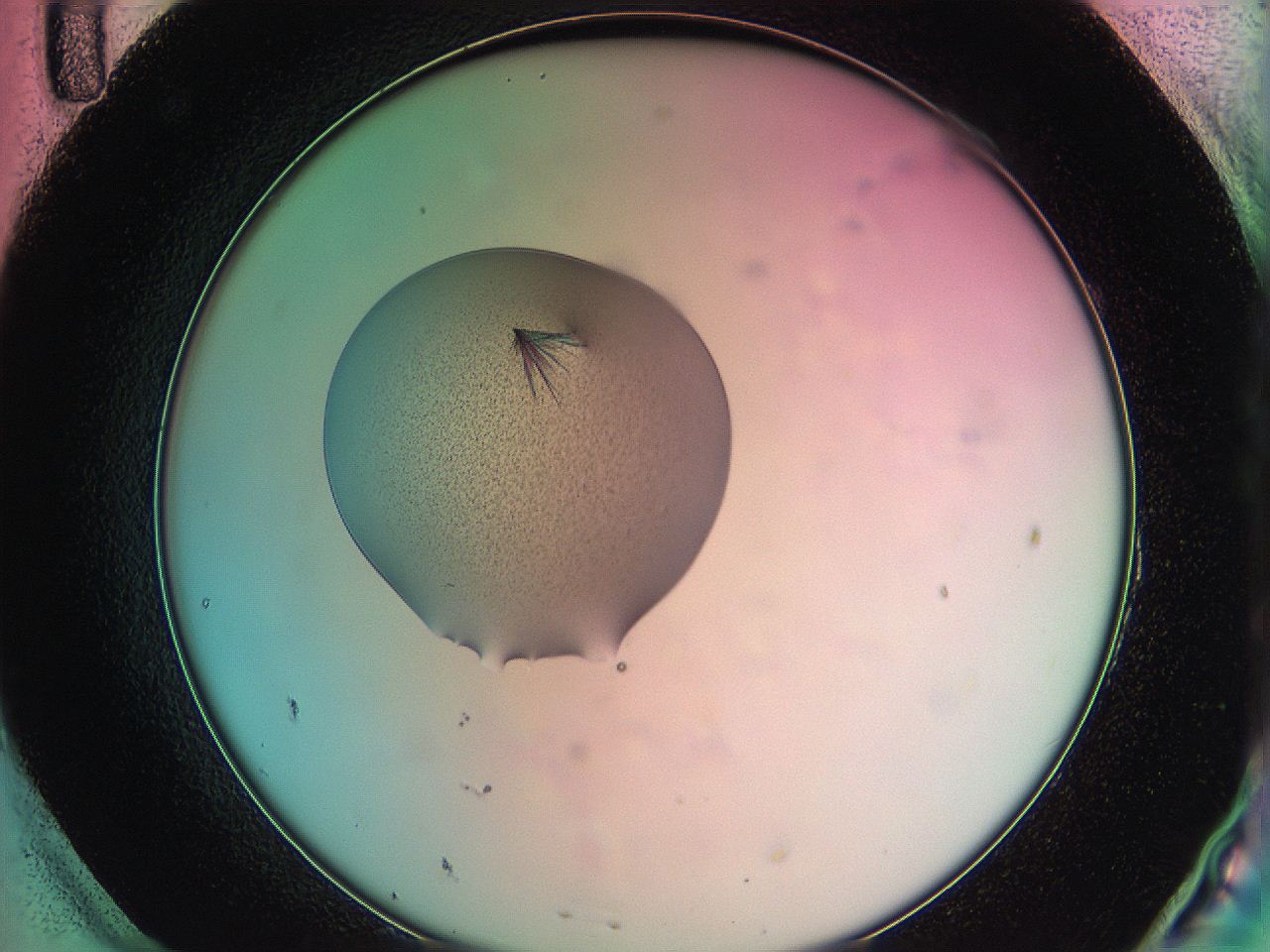 05du_H11_ImagerDefaults_7.jpg