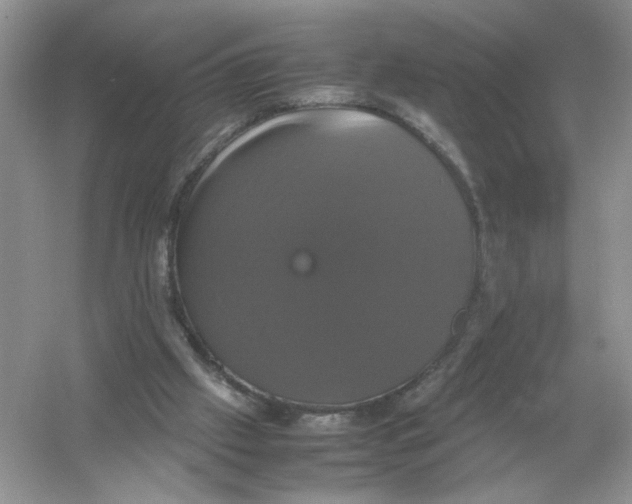 X0000054350057200508190139.png