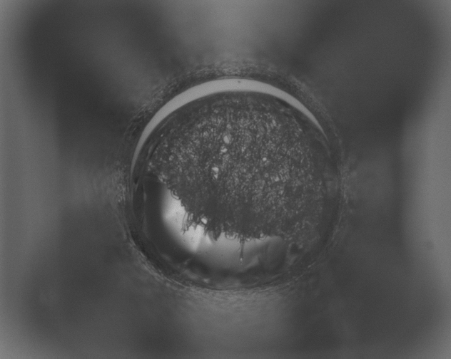 X0000052730018200507141557.png