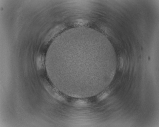 X0000054170236200508101807.png