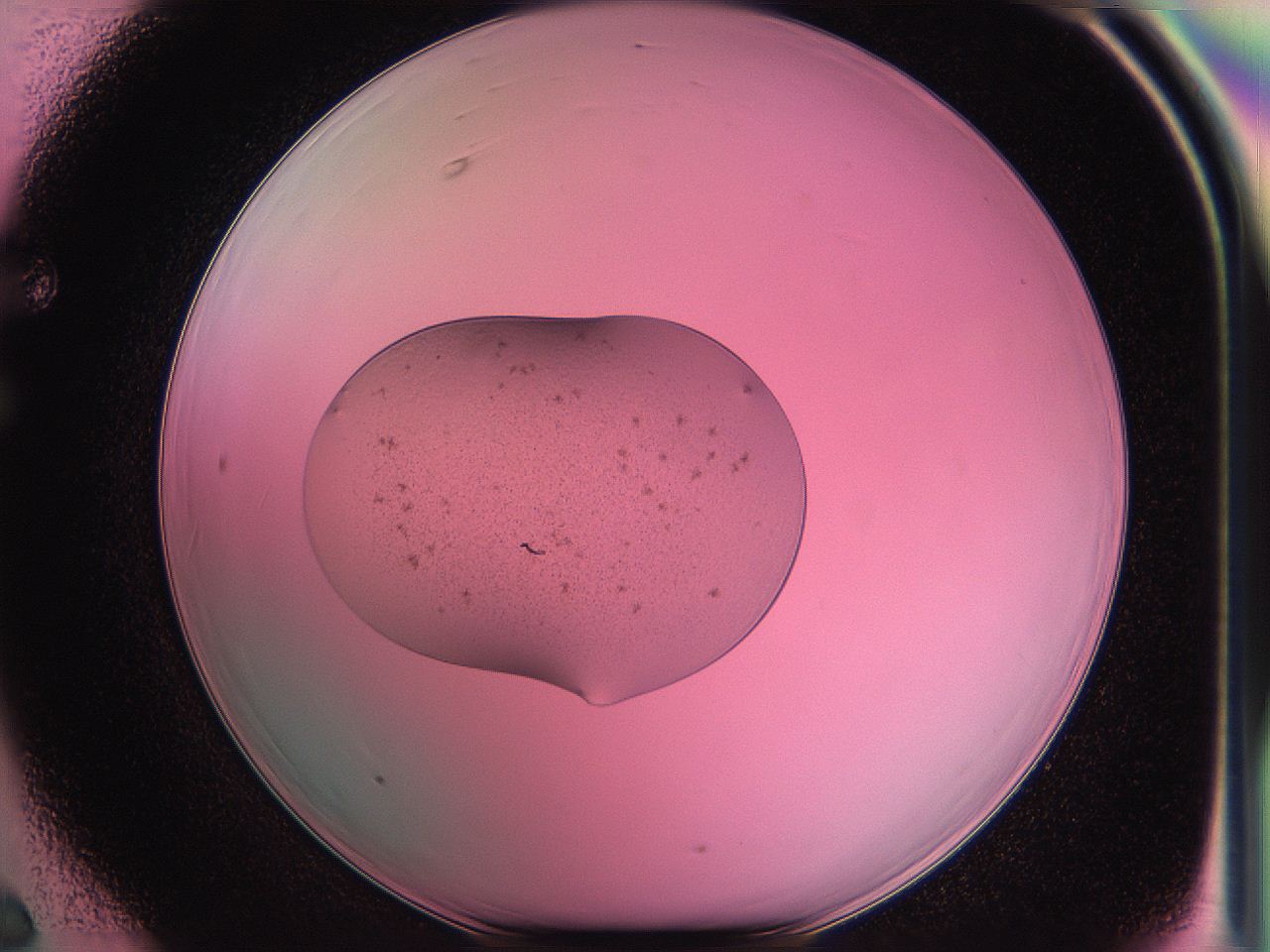 05dv_F6_ImagerDefaults_6.jpg