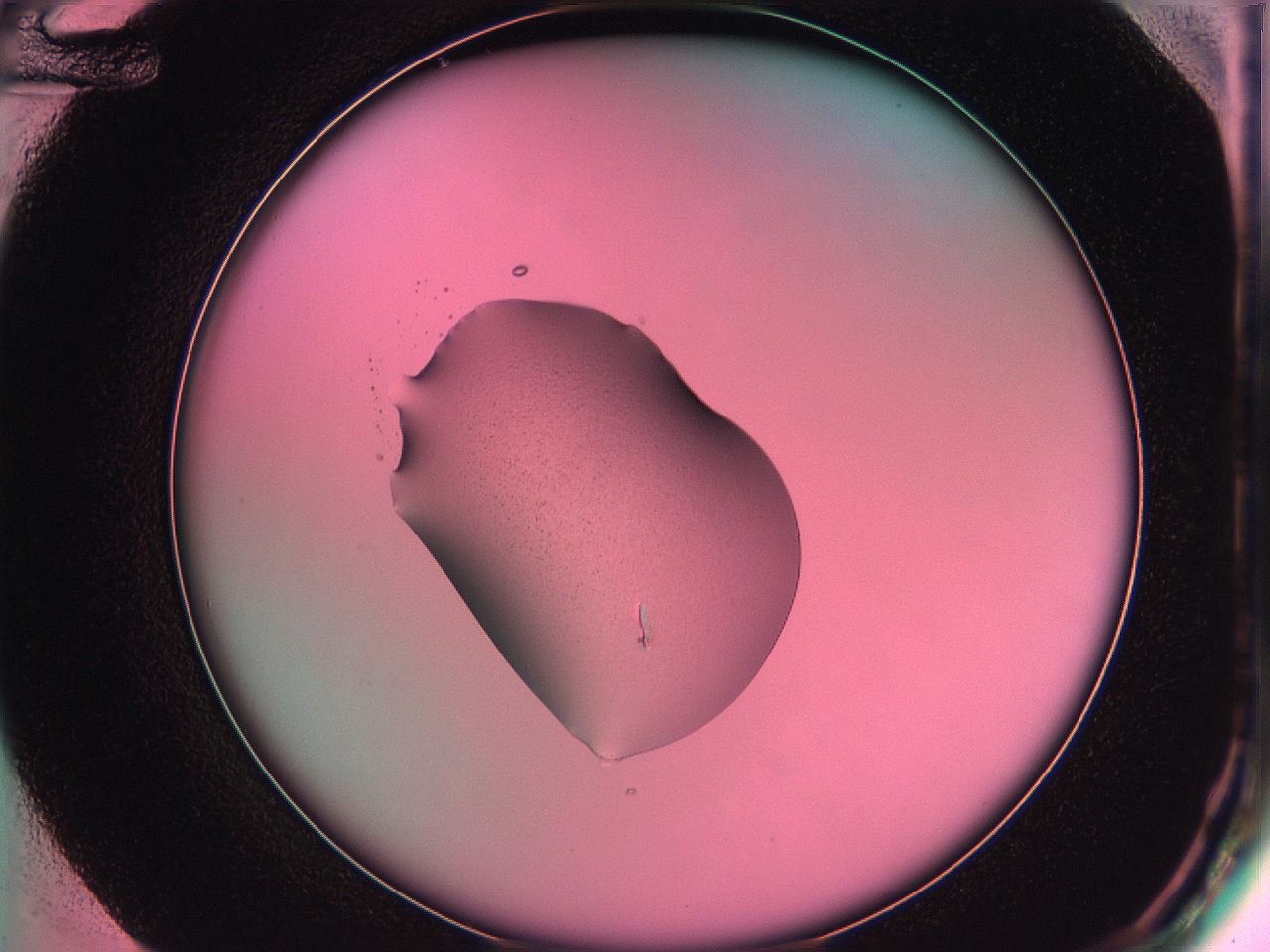 05dv_F12_ImagerDefaults_9.jpg