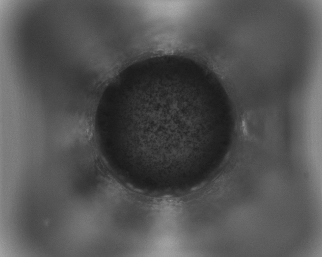 X0000054731347200508171841.png