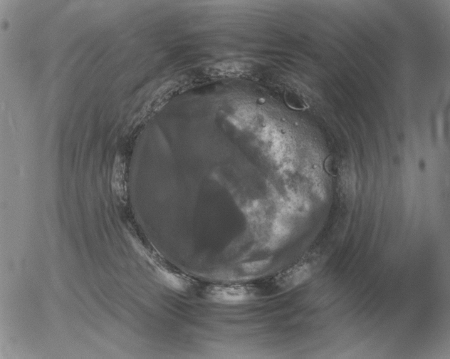 X0000054170181200508101809.png
