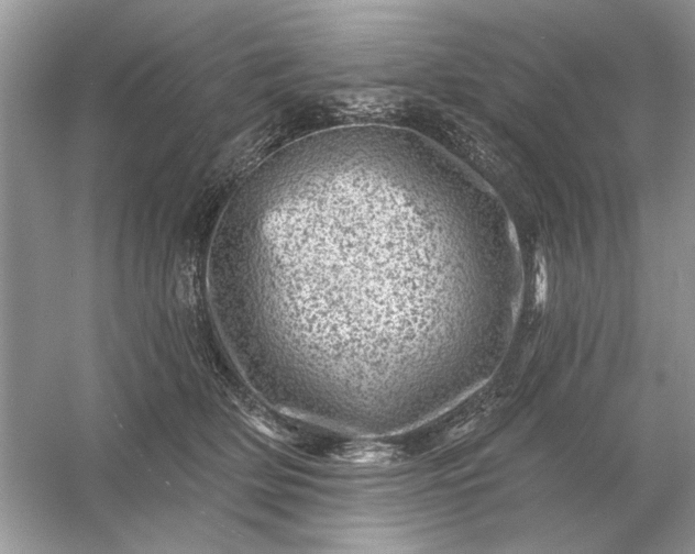 X0000054300514200508042313.png