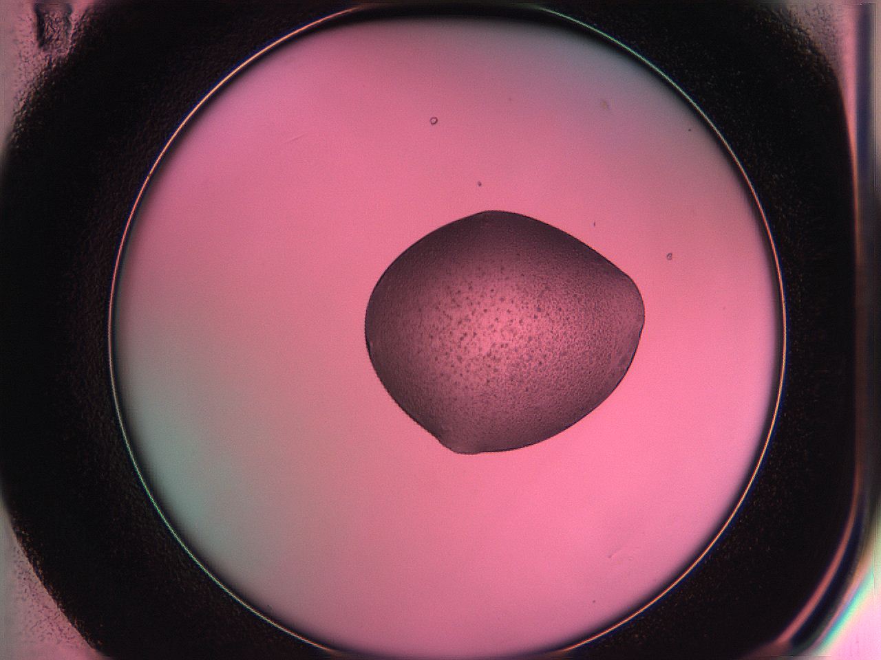 05dv_E11_ImagerDefaults_4.jpg