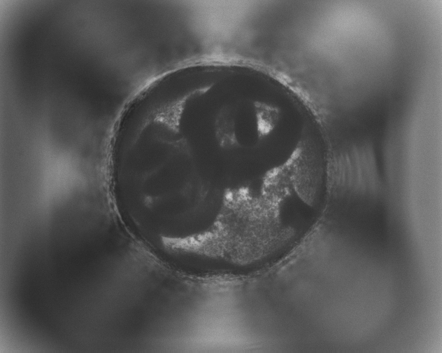 X0000041781454200411271508.png