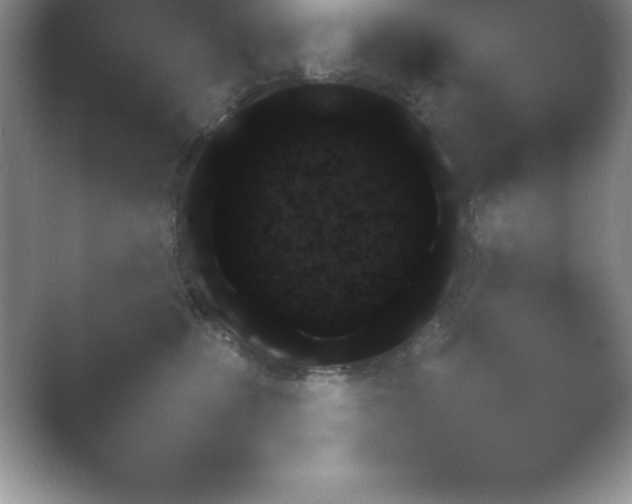 X0000054730471200508171856.png