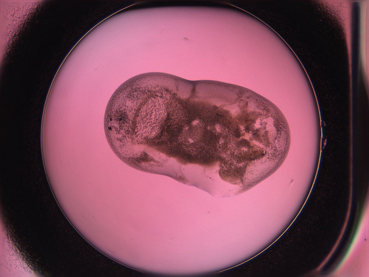 05dv_A1_ImagerDefaults_6.jpg