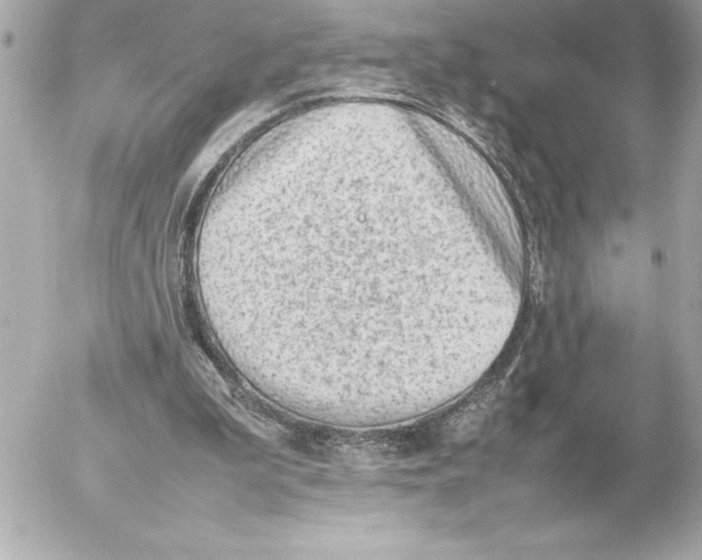X0000054230199200508171521.png