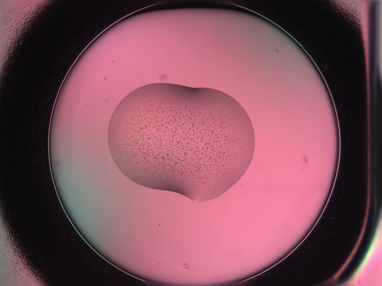 05dv_C7_ImagerDefaults_4.jpg