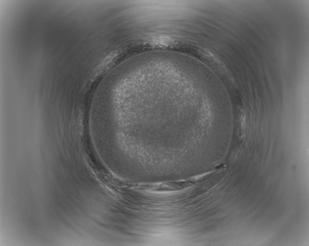 X0000054300496200508042314.png