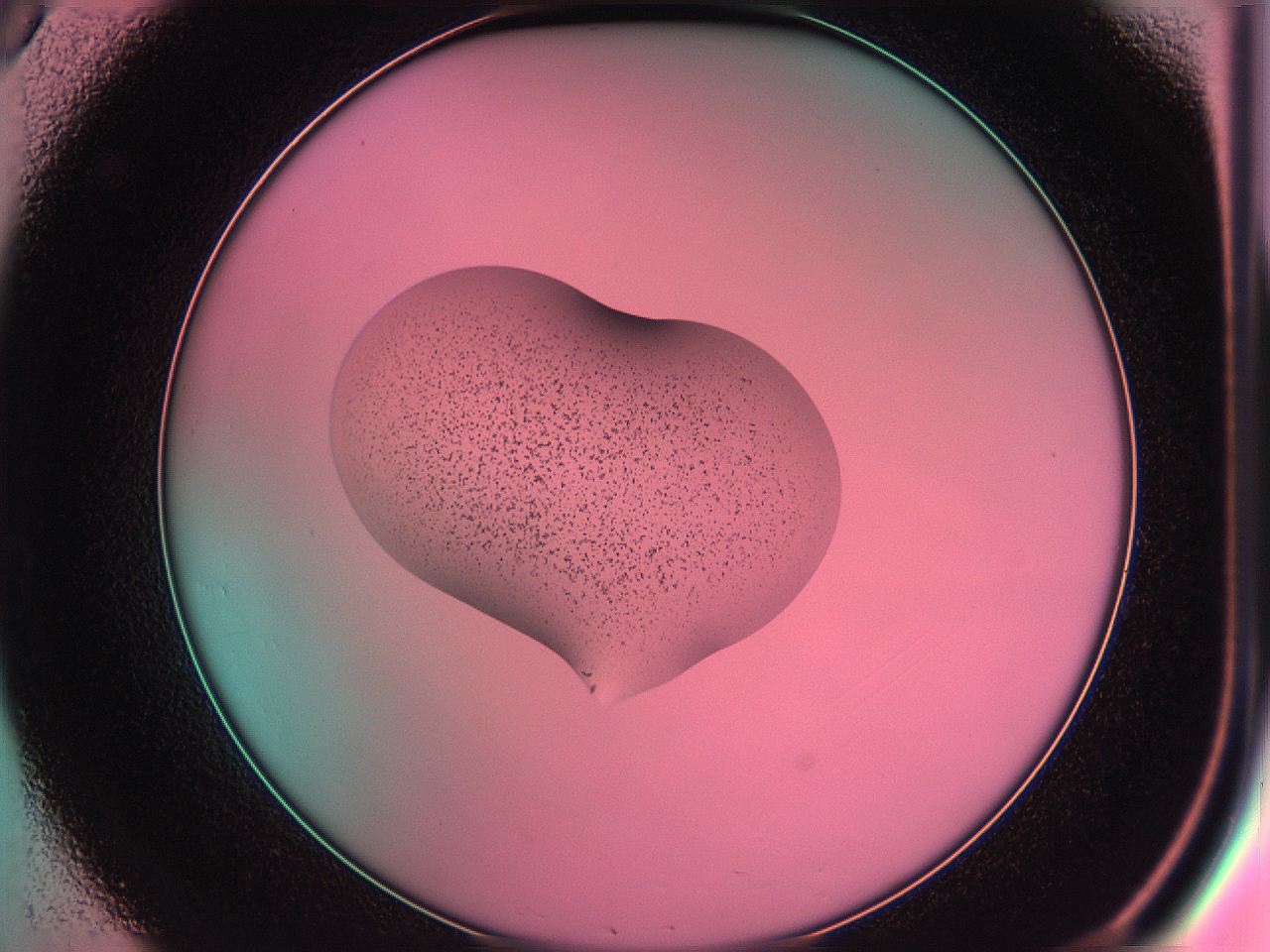 05dv_C8_ImagerDefaults_4.jpg