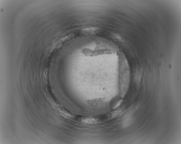 X0000054650759200508091641.png