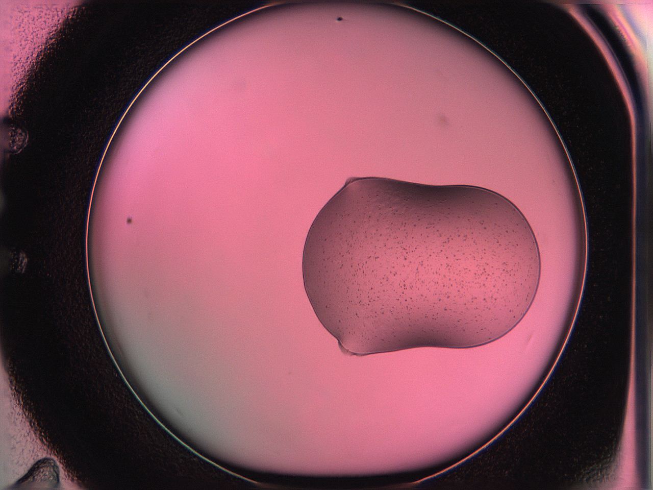 05dw_E11_ImagerDefaults_4.jpg