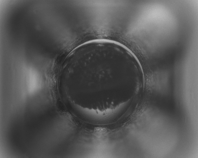 X0000045390218200501241411.png