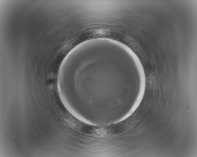 X0000054350423200508190133.png