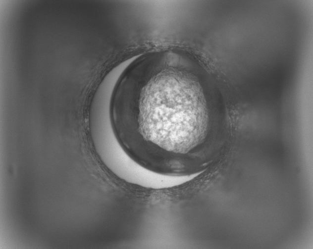 X0000052451009200507211308.png